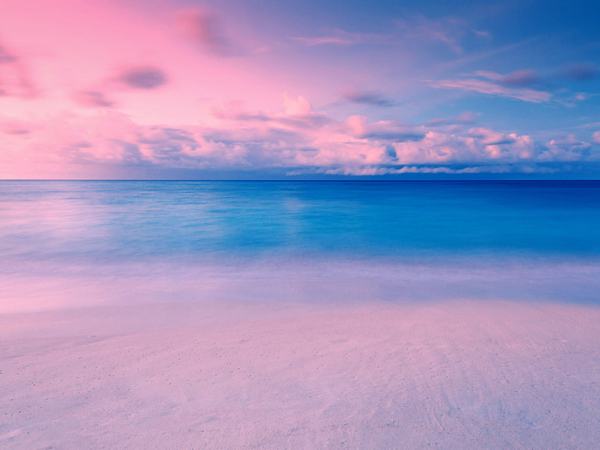 重庆市经贸中等专业学校专业负责人管理办法 （试行）