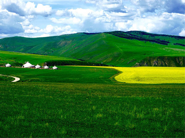 重庆市经贸中等专业学校基本建设工作纪律规定