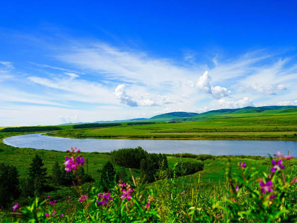 人力资源社会保障部国务院扶贫办关于开展技能脱贫千校行动的通知